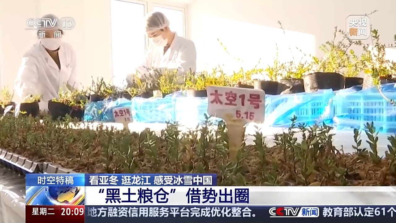 星空體育網(wǎng)址：“冰雪搭臺(tái)、糧食唱戲”當(dāng)亞冬邂逅黑土地會(huì)碰撞出怎樣的火花？(圖5)