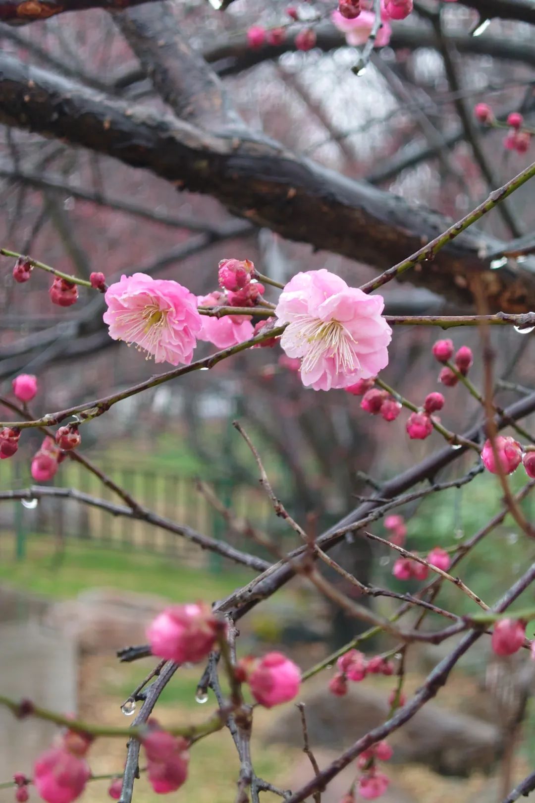 640?wx_fmt=jpeg&from=appmsg&tp=wxpic&wxfrom=5&wx_lazy=1&wx_co=1