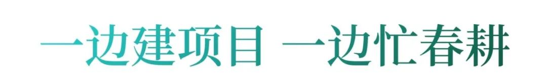 博乐体育武汉东西湖：春到田间万象新(图1)