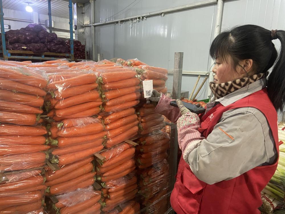 奇异果体育·(中国)官方网站新华视点·关