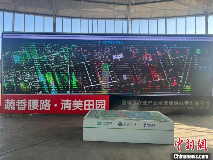 上海乡村“留量”密码：特大型城市的乡村如何展开农业现代化的田园新叙事？6686体育app(图1)