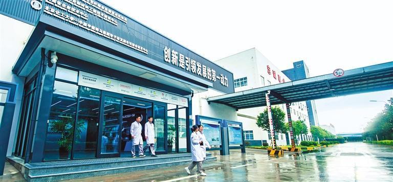 【高质量发展企业调研行】携煤兴绿(图3)