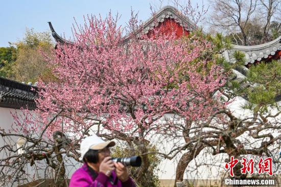 南京古典园林春色如许展恬静之美开云电竞平台(图6)