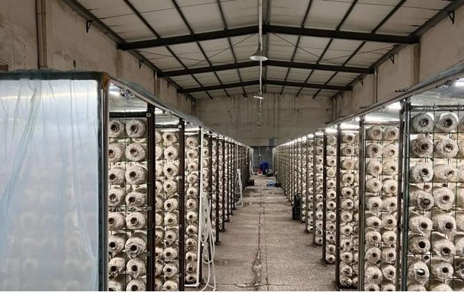 易倍网站：打造徐古户外体验基地新洲签约1182亿文旅大单(图4)