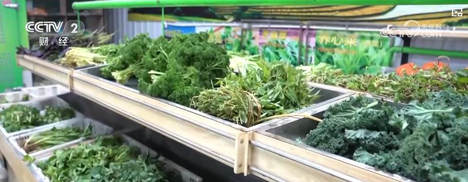 春菜鲜美丰富百姓“菜篮子” “一口鲜”餐饮热潮激发消费活力b33体育网址(图1)