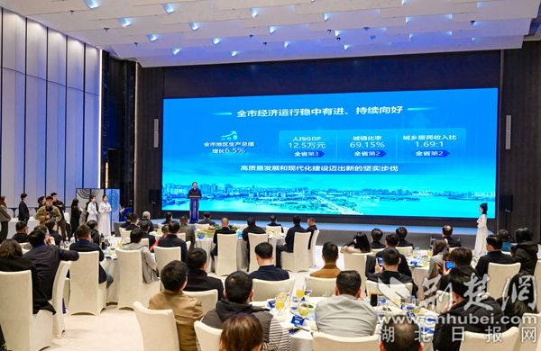 B  2025年长三角鄂州企业家招商、返乡创业政策推介现场。1(1).jpg.jpg