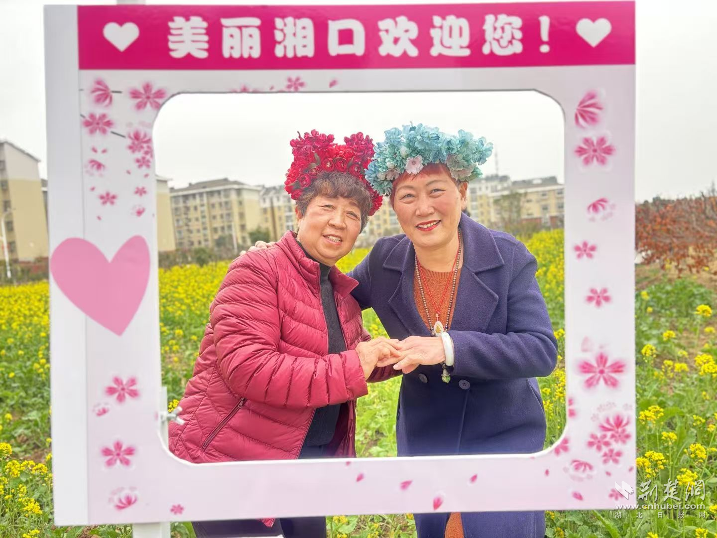 图片11.png.png
