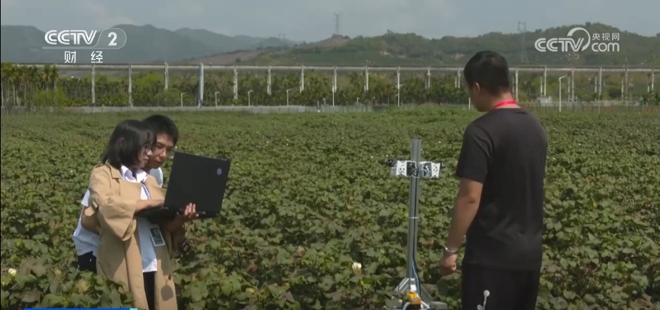 “AI+传统育种”让农业种植插上智慧“翅膀”(图2)