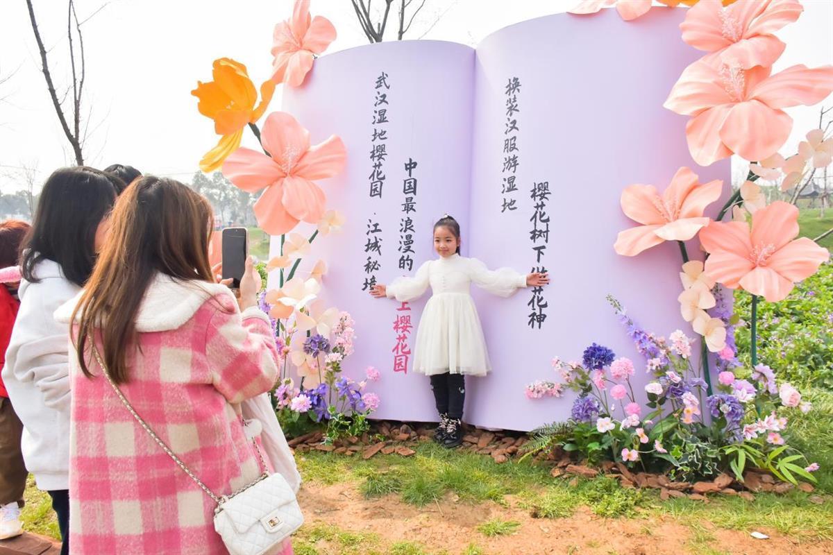 相约春天开云体育入口赏樱花极目新闻记者带您打卡武汉三镇赏樱地(图31)