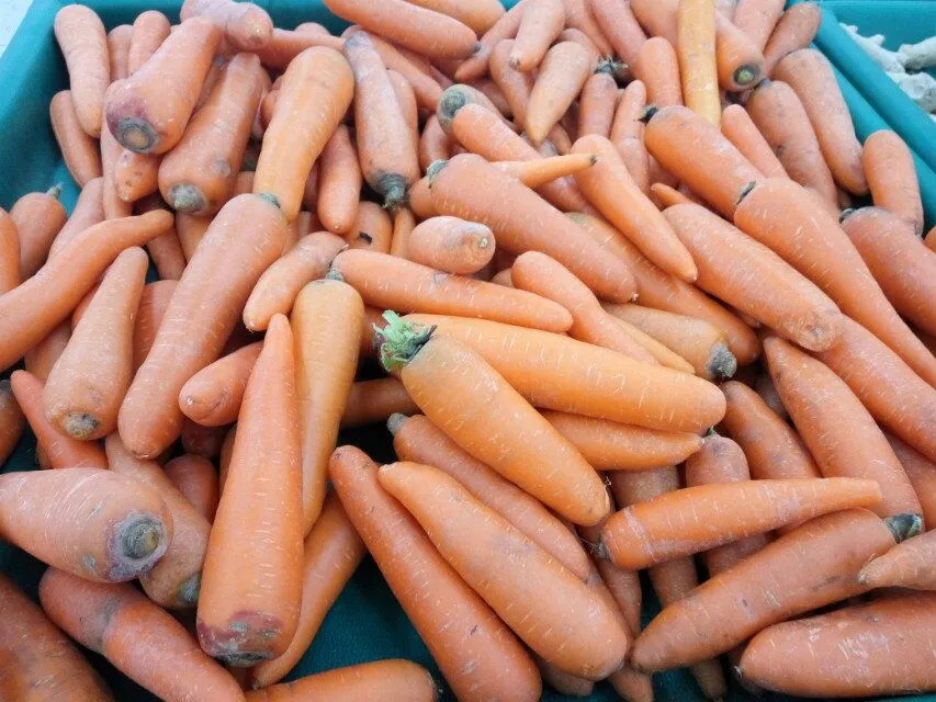 “抗癌食物清单”来了！降低患癌风险收藏起来！(图3)