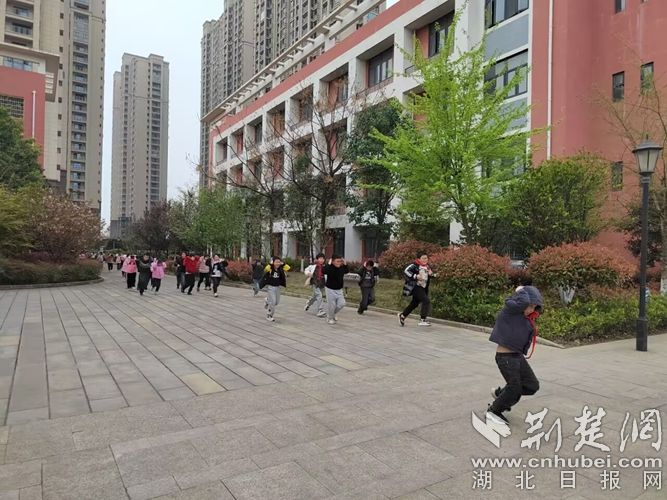 图片1.jpg.jpg