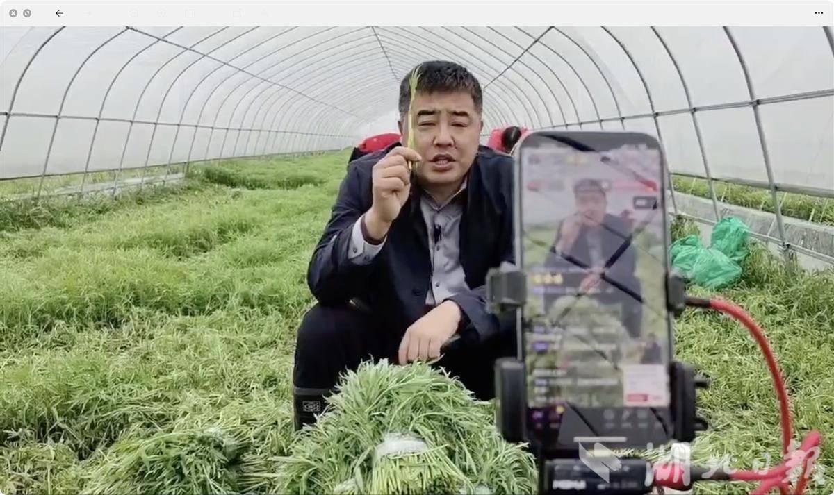 KAIYUN入口：三新农民丨近10万粉丝年销售350万元直播带货村支书(图2)