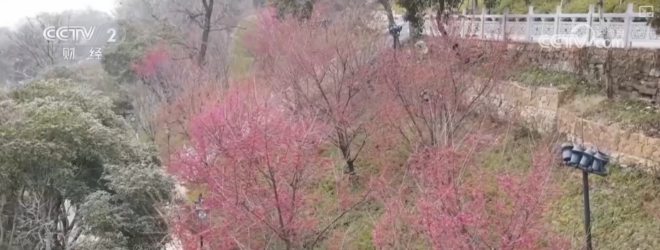 创新服务提升消费体验 解锁“美丽经济”百变开云入口打开方式(图1)
