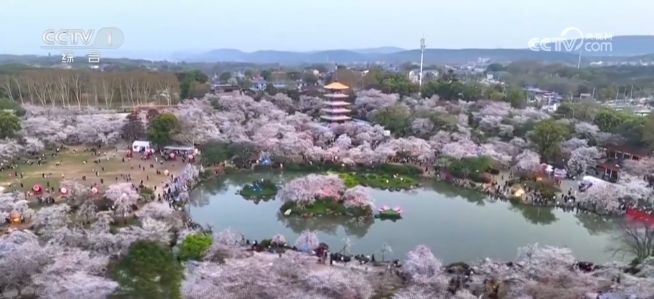 美丽产业→幸福产业“花样”经济别样绽放(图7)