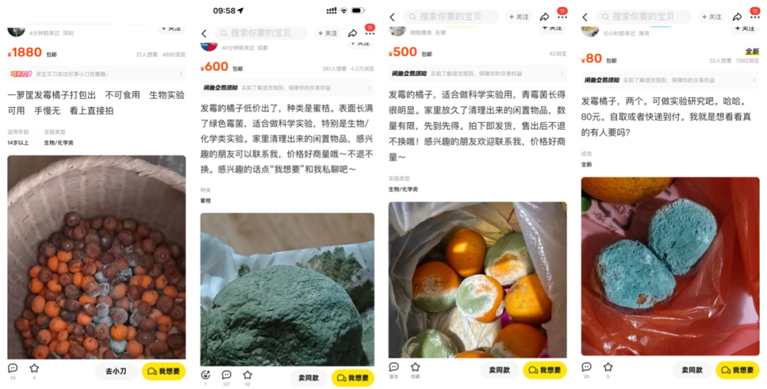 一个发霉橘子可卖上千元？别信！
