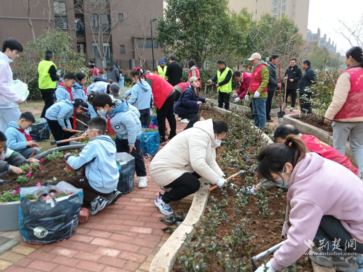 图片2.png.png