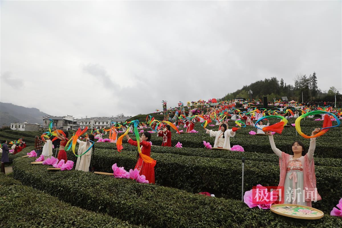 湖北十堰市竹山县：硒与茶联袂奏响富民强县交响曲雷火竞技网址(图4)