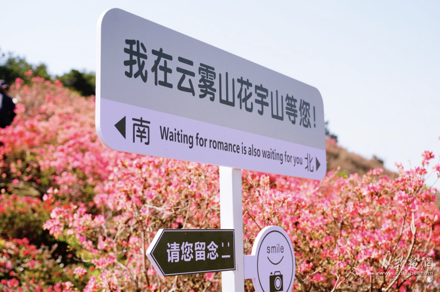 WX20250322-150250@2x.png.png