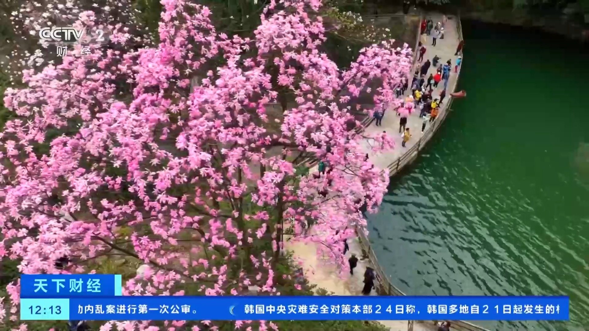 高空赏花爆火 走！一同打飞的赏花去