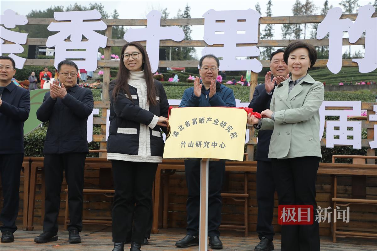 湖北十堰市竹山县：硒与茶联袂奏响富民强县交响曲雷火竞技网址(图2)