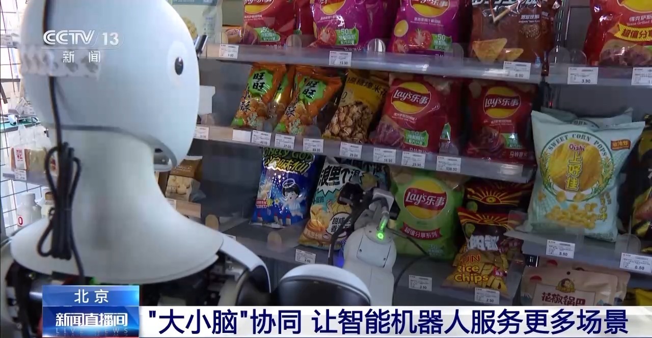 “大小脑”协同 解锁具身智能机器人的多元本领(图7)