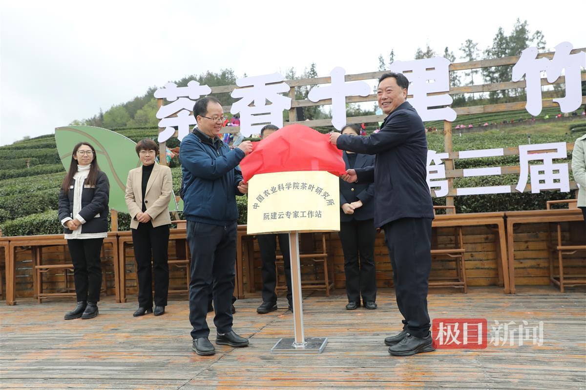 湖北十堰市竹山县：硒与茶联袂奏响富民强县交响曲雷火竞技网址(图3)