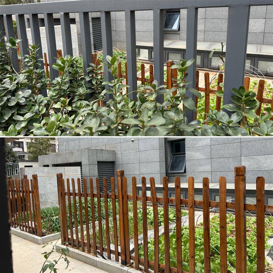 万向娱乐官网社情民声保利军运村冒出一些“私家庭院”(图2)