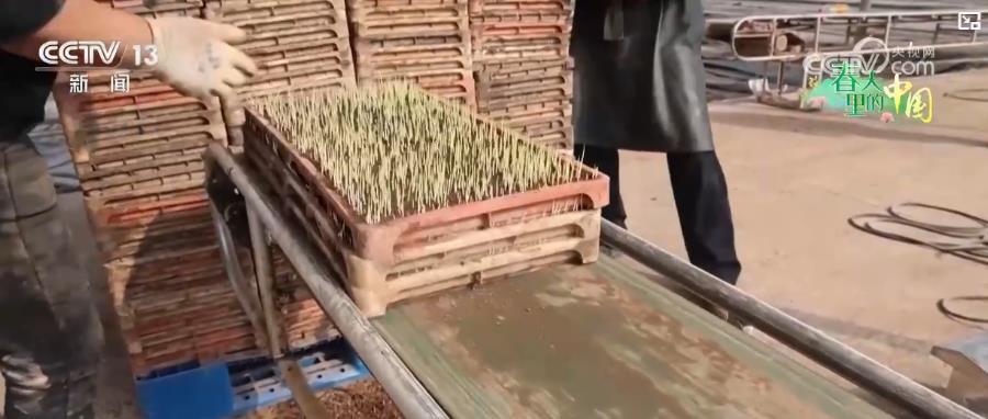 ng28南宫娱乐官网科技赋能春耕春管！智慧农业护航 筑牢粮食稳产根基(图1)