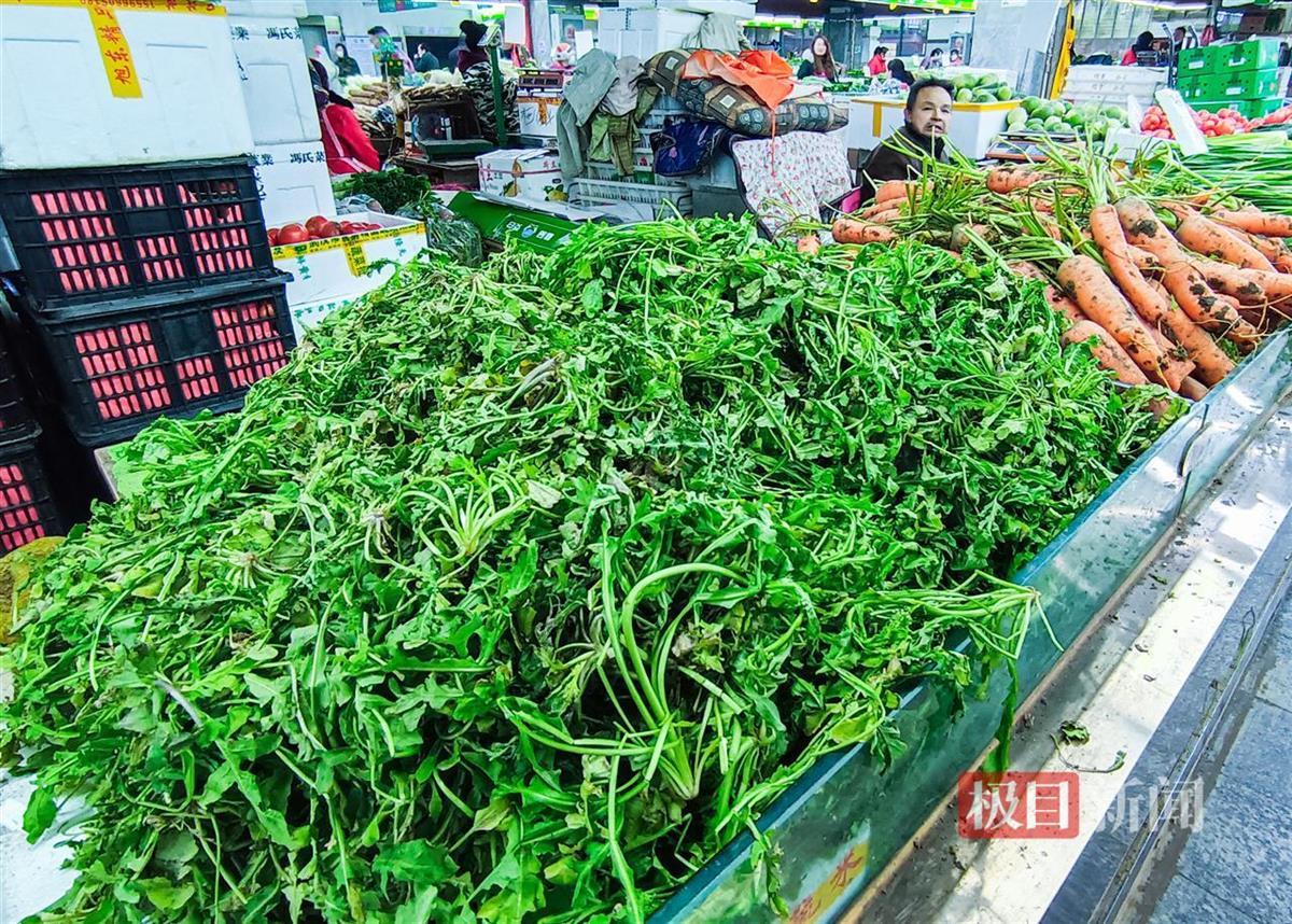 奇异果体育一场寒潮过后春鲜争俏性价比更高(图2)