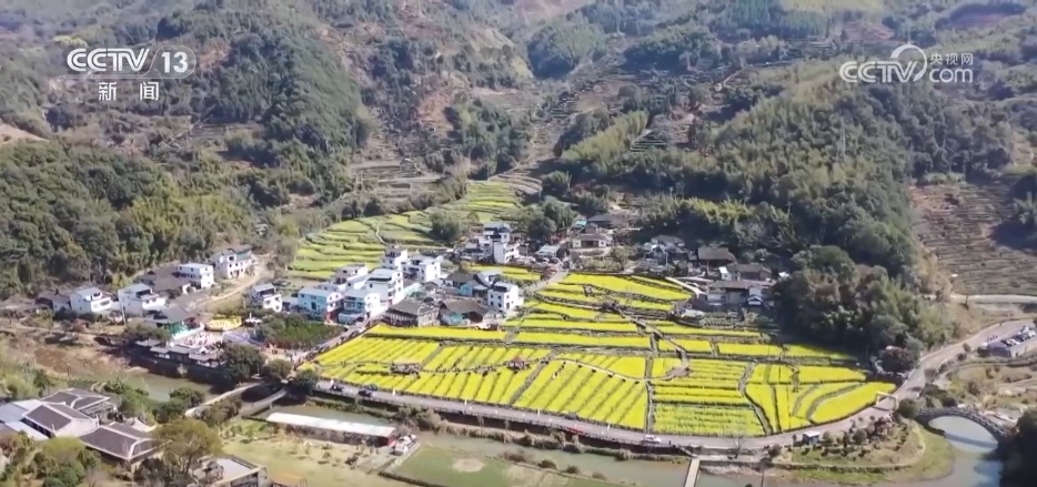 耕田就是种景致 看各地怎样抢抓“赏花经济”流