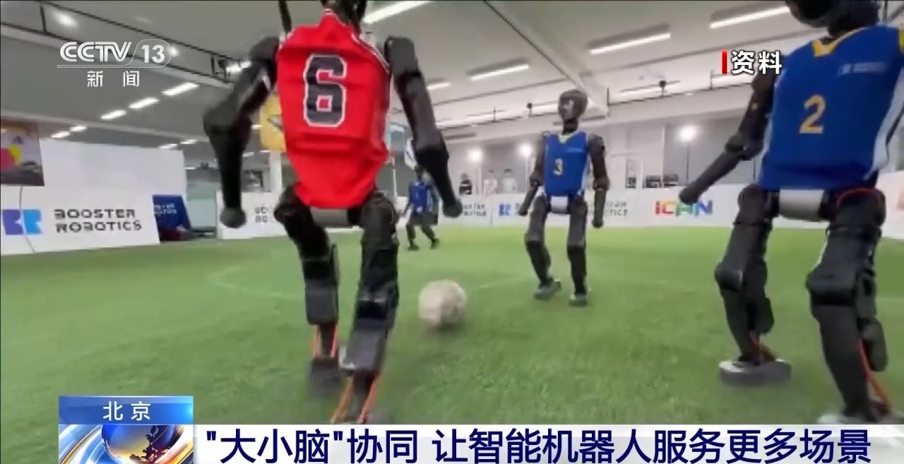 “大小脑”协同 解锁具身智能机器人的多元本领(图10)