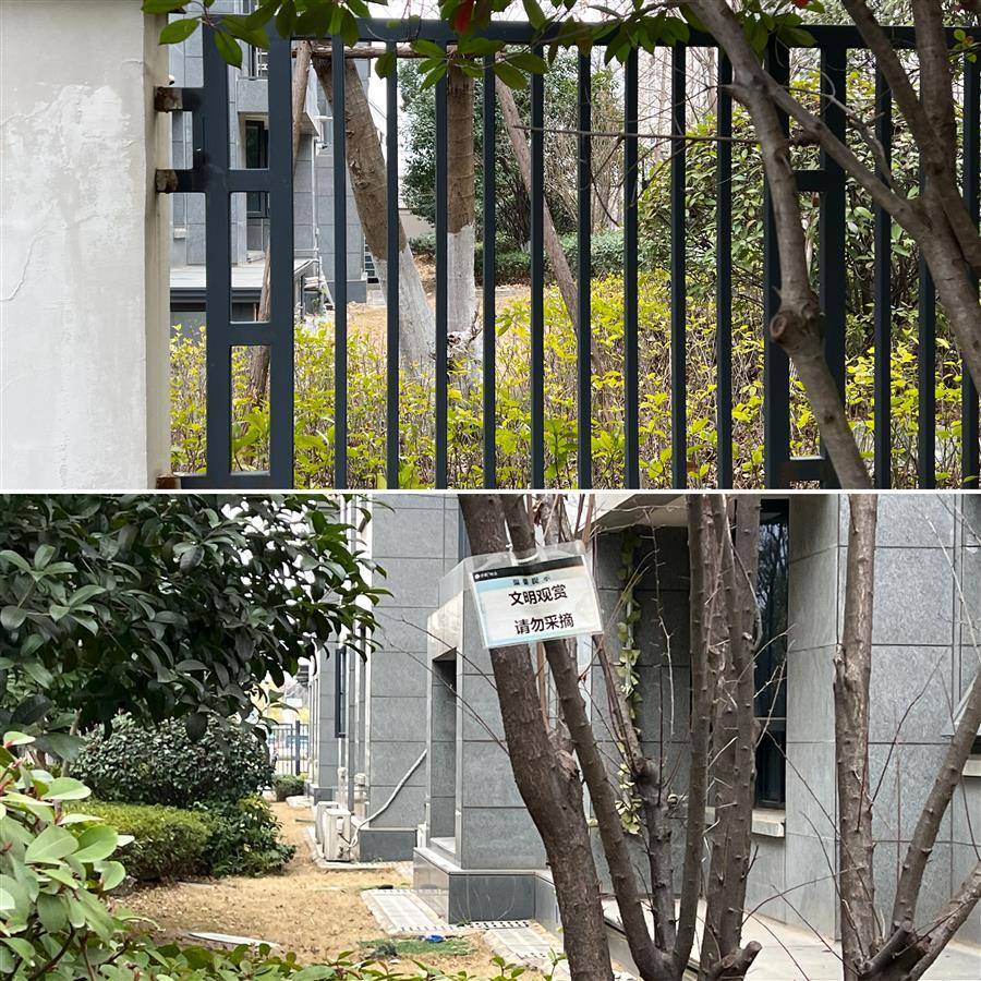 万向娱乐官网社情民声保利军运村冒出一些“私家庭院”(图6)