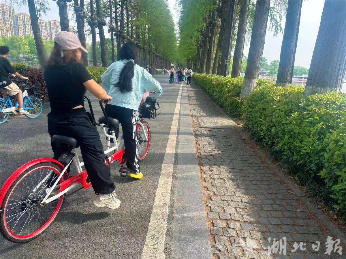 玩耍更便利！东湖绿道有了亲子同享单车、双人同享单车