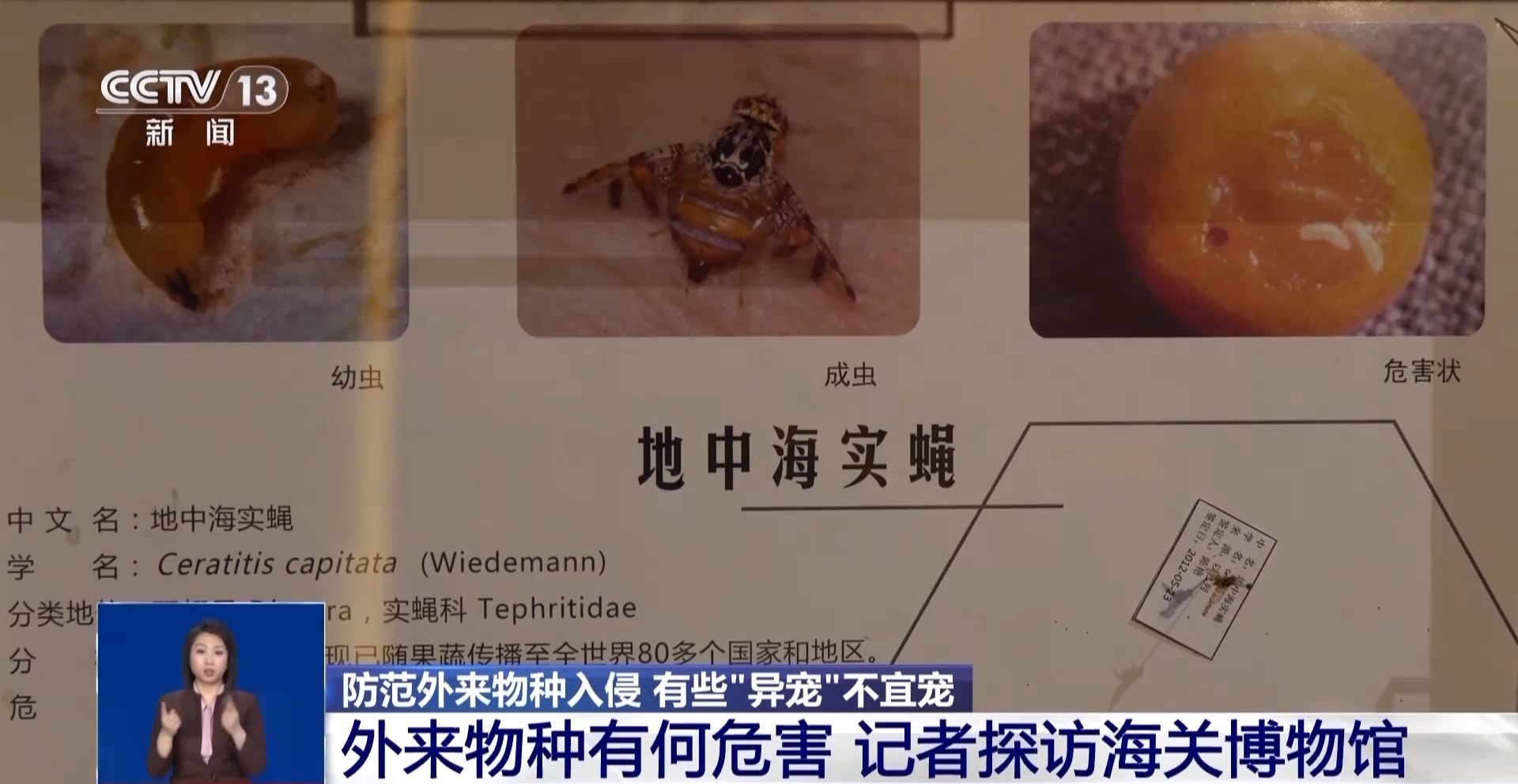 有些“异宠”不宜宠 专家：购买饲养前要做到“三查”(图10)