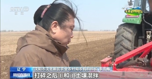 稻草又回到田野 +没有收获的收获,有一个新的答