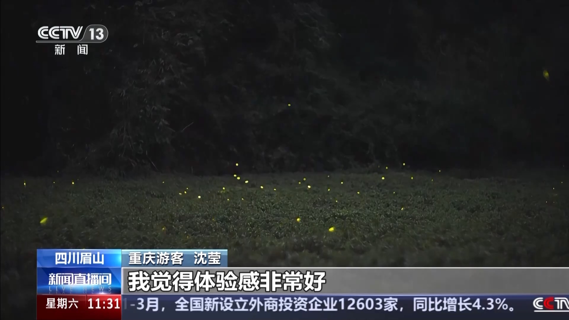 快速签入。绿神萤火虫 +竹编织的体验。朋友圈中