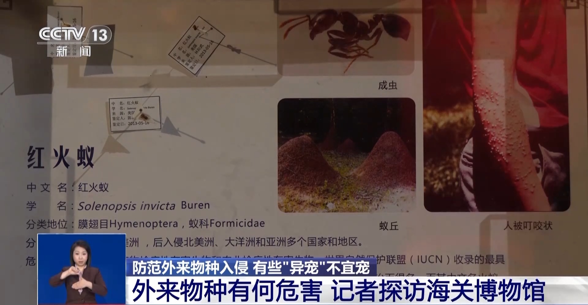 有些“异宠”不宜宠 专家：购买饲养前要做到“三查”(图9)