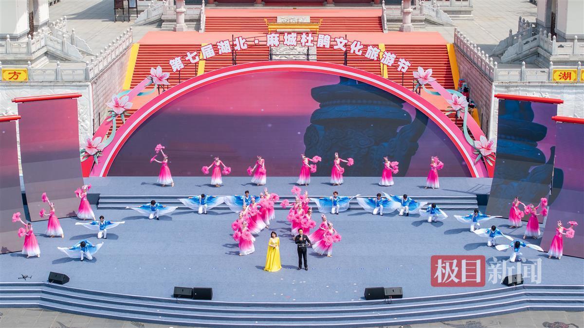 -7 -7湖泊马赫杜鹃花文化旅游节开始，100,000公顷