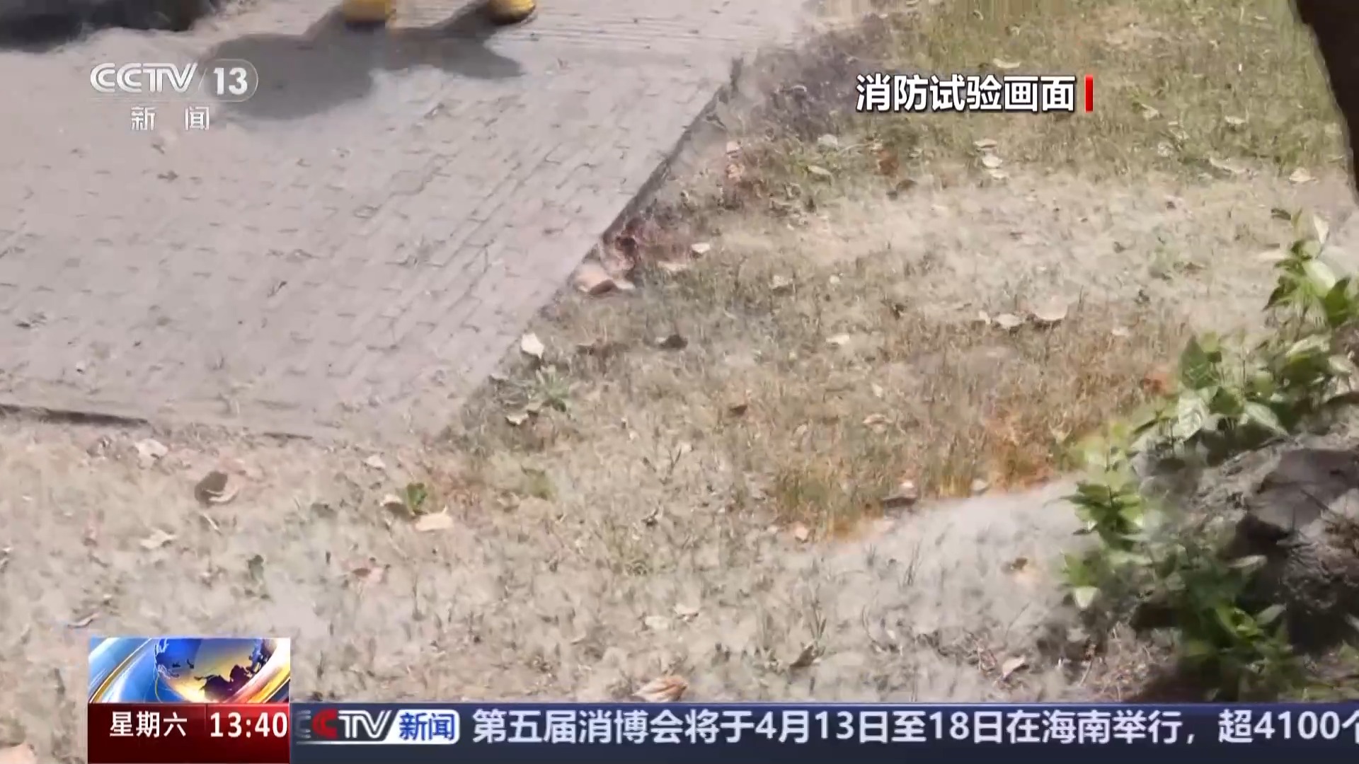 又到飞絮期 警惕身边的“白色火患”(图1)