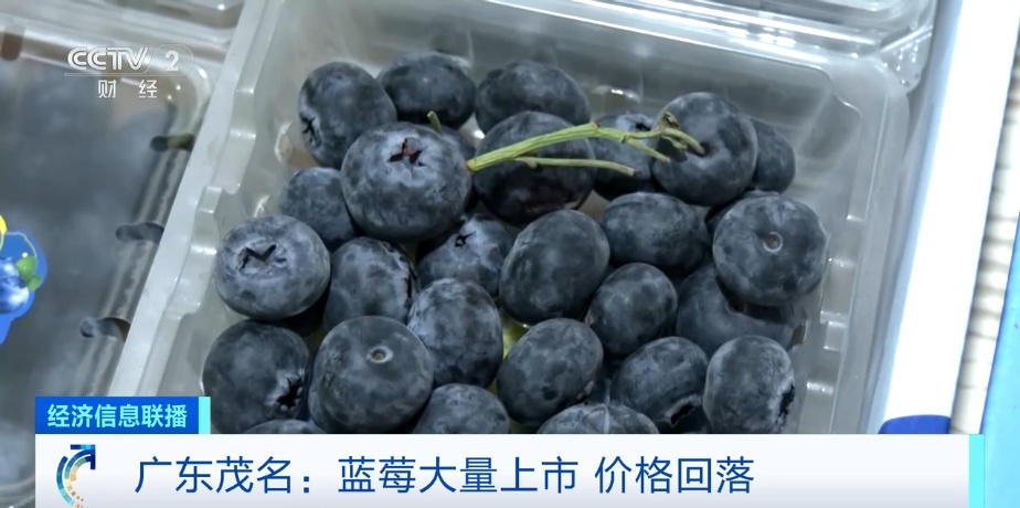 蓝莓的价格为“一半”！吃盒子的日子时会发生