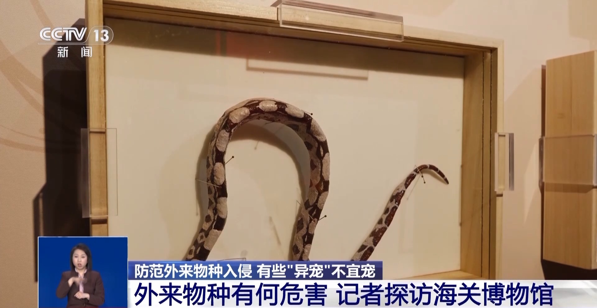 有些“异宠”不宜宠 专家：购买饲养前要做到“三查”(图8)