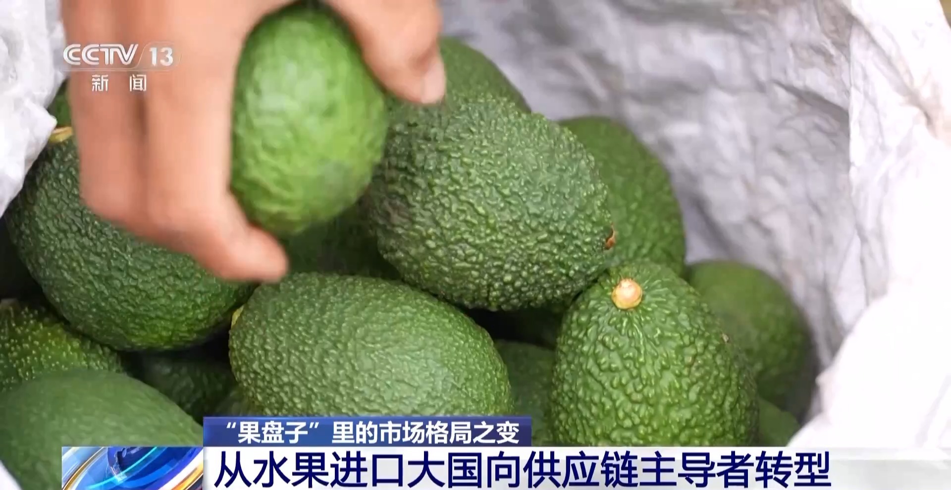 开云体育下载昔日“水果刺客”变身“亲民爆品” 用科技把水果价格打下来(图14)