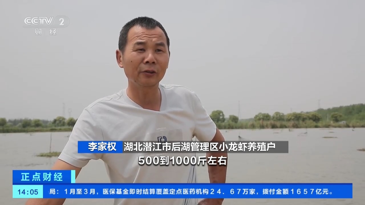 小龙虾是良好的收获，大蒜和柠檬虾。您喜欢哪