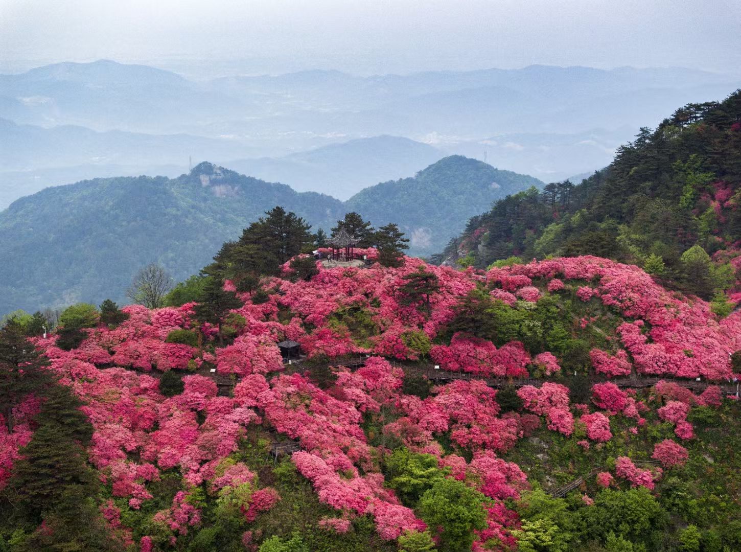 麻城龟峰山景区温情服务，游客致电记忆犹新