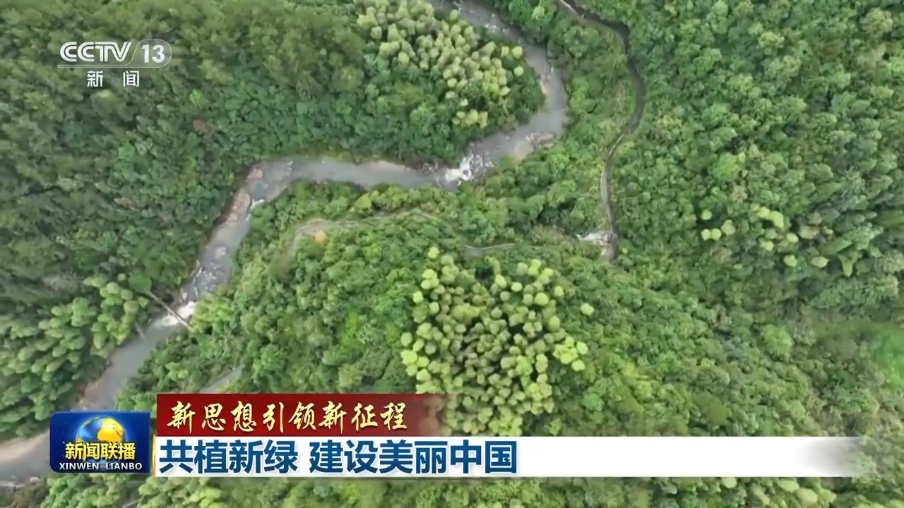新思想引领新征程丨共植新绿 建设美丽中国(图7)