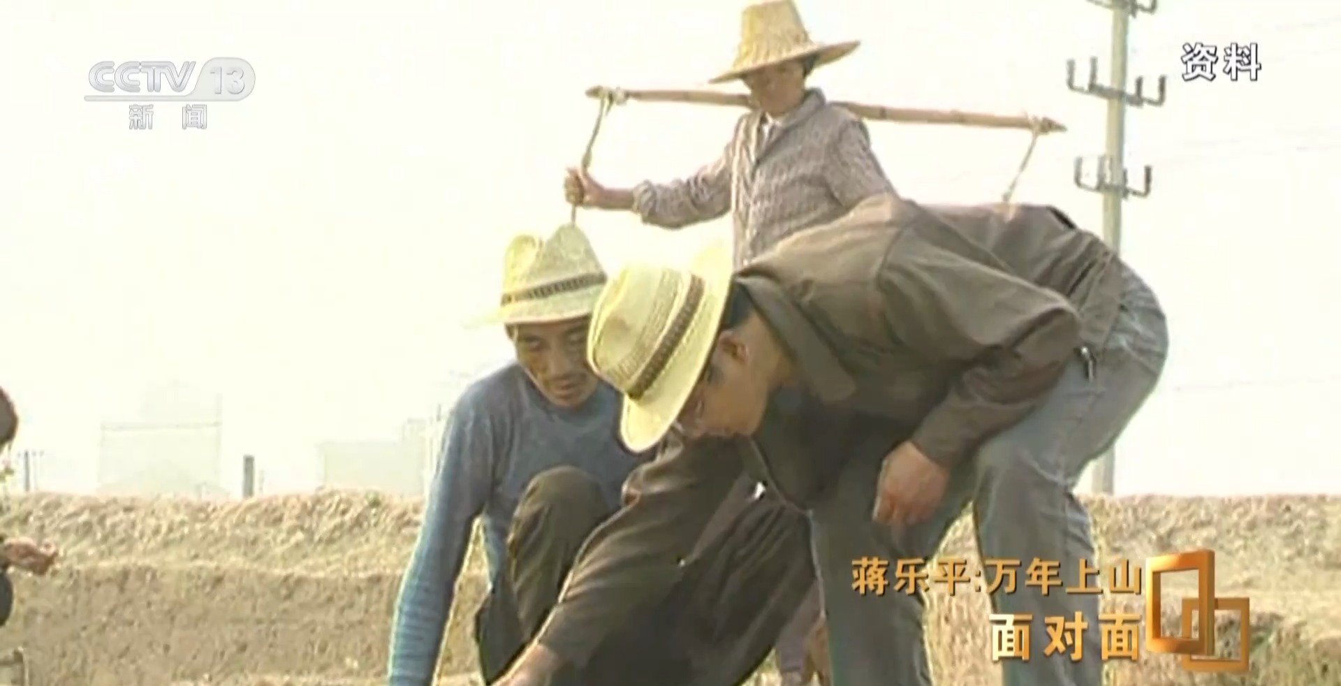 8188www威尼斯平台面对面丨对话蒋乐平 从一粒稻米触摸一万年前历史(图4)
