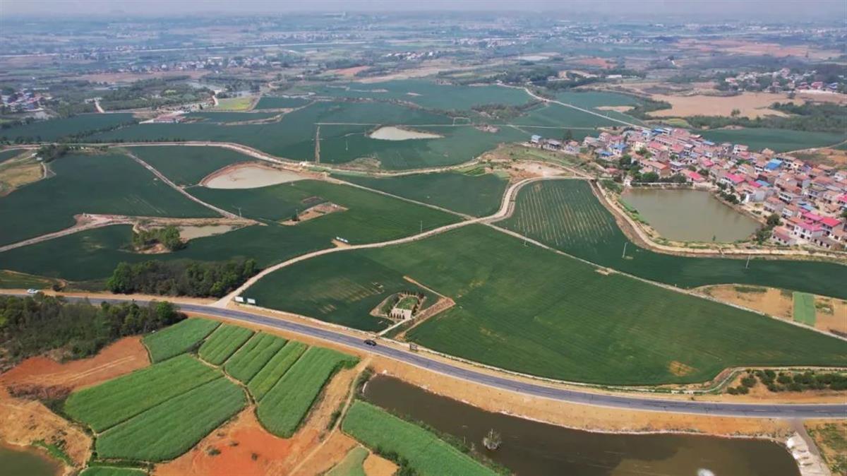 “重组”创建了有关农村