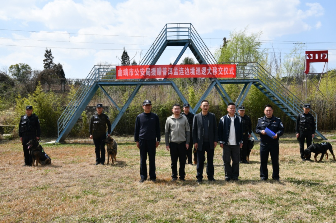 5头勋绩警犬转岗守边，训导员最终投喂红了双眼
