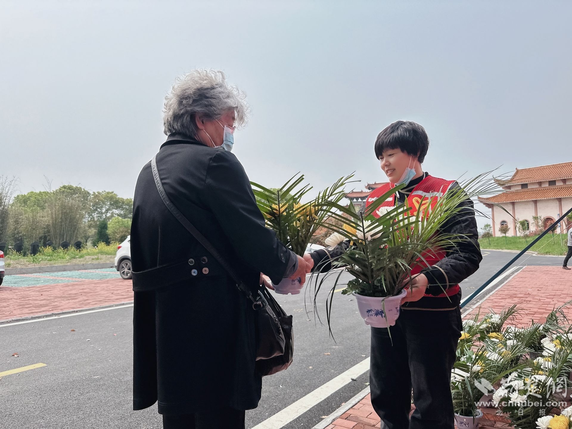 举办富裕和葬礼，崇拜绿色，改变习俗并促进文