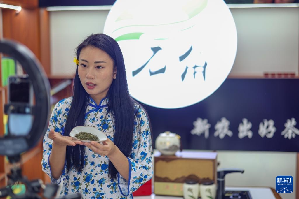 重庆綦江：“绿叶子火星电竞平台”撬动“金产业”(图16)